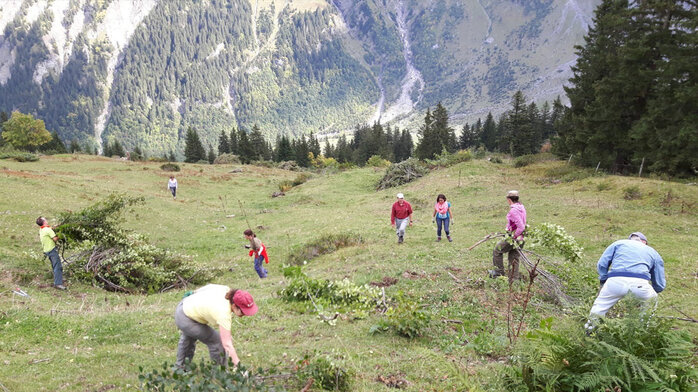 Photo des bénévoles en plein travail