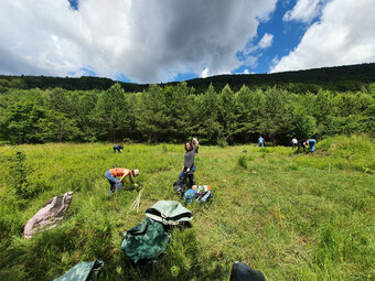 Photo des bénévoles au travail