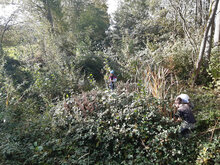 Photo de la situation avant l'intervention