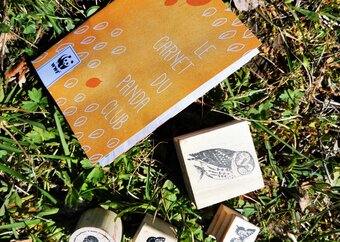 (c) Géraldine Bourgeois Panda Club Vignette 2