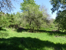 Photos de la parcelle en Mai 2021