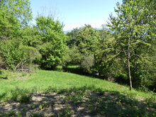 Photos de la parcelle en Mai 2021