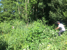 Photo de la situation pendant l'intervention