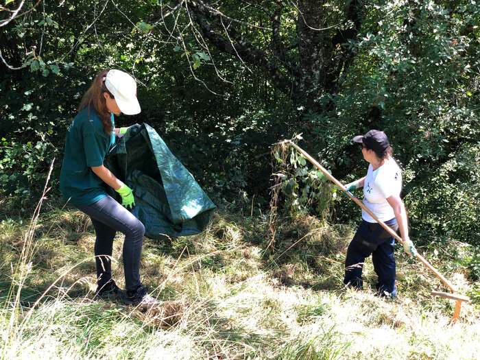 Photo des bénévoles luttant contre les ronces envahissantes