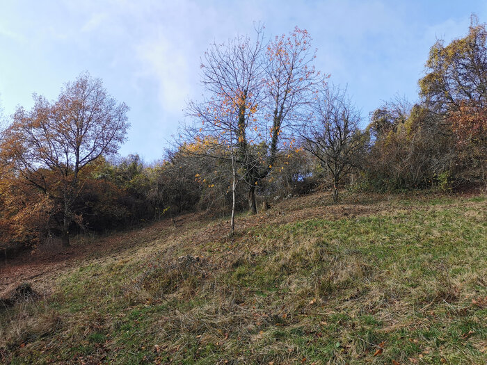 Photo de la paririe sèche