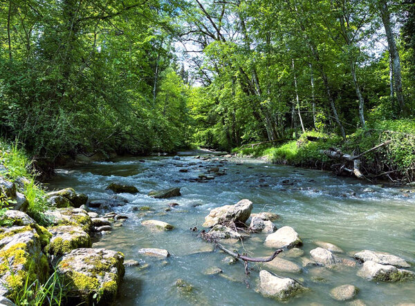 La Menthue (VD) © WWF Suisse / Florian Hänggeli