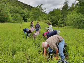 Photo des bénévoles au travail